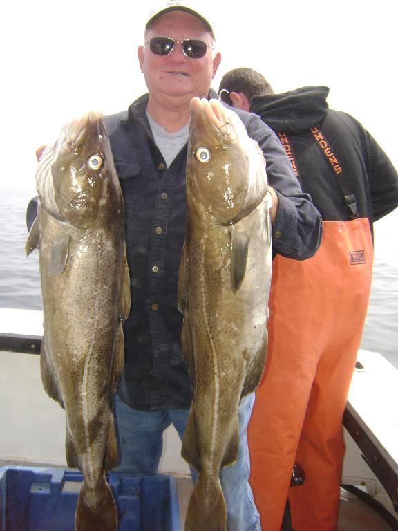 576_Cod_0523 Fish Gloucester